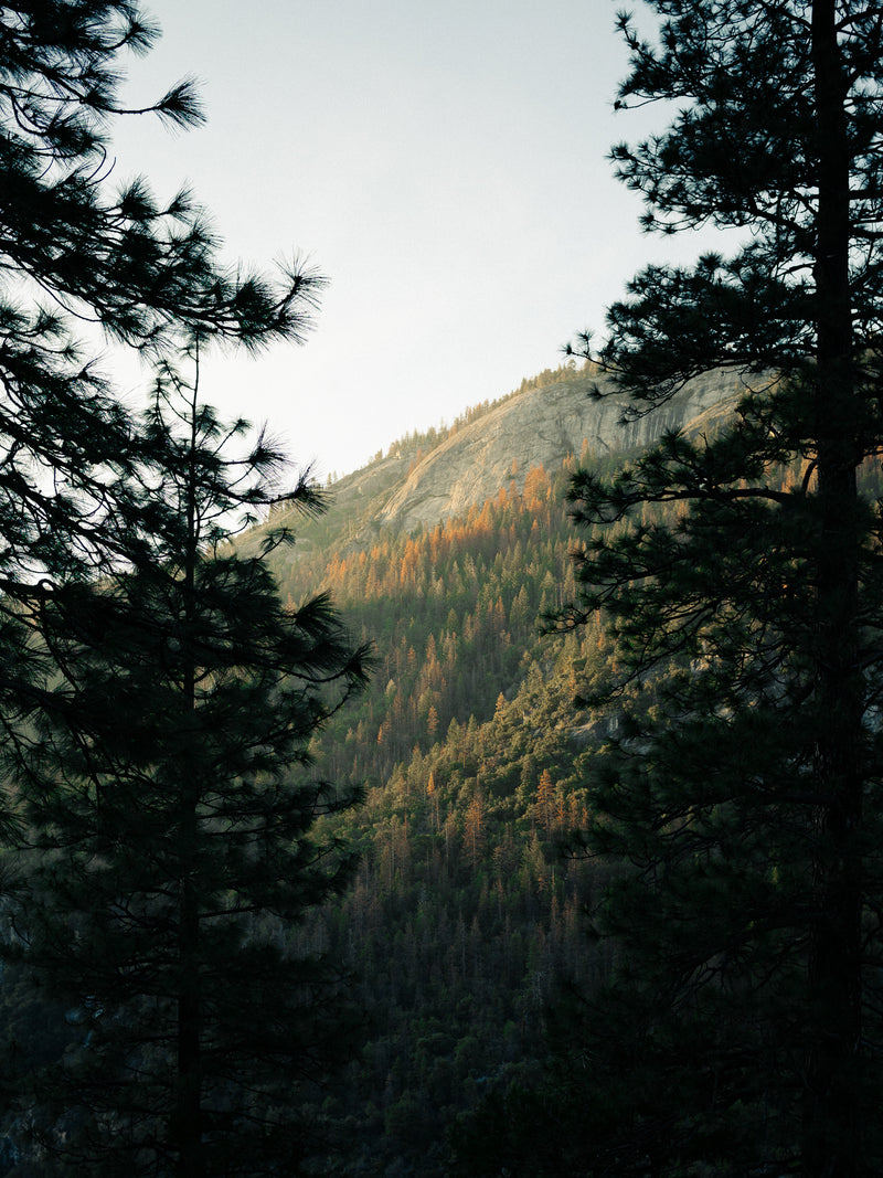 National Parks Series