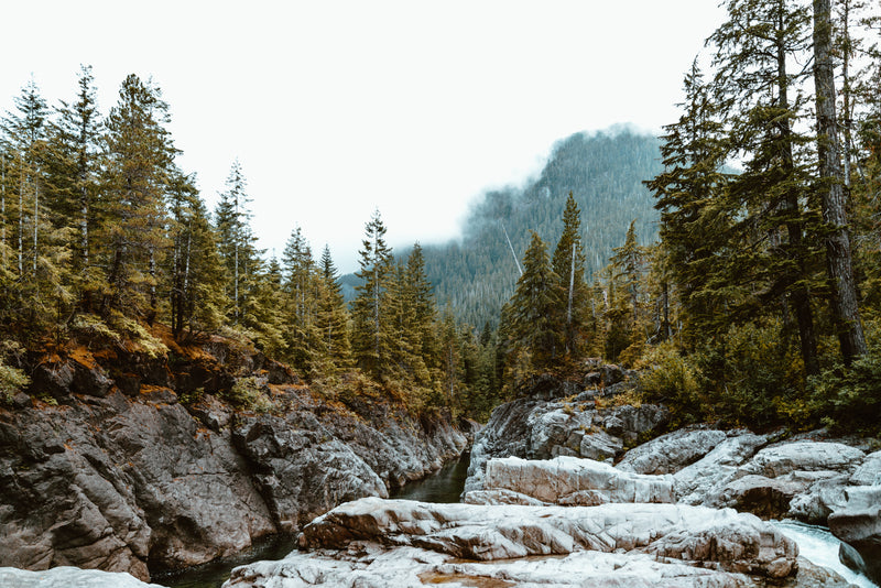 Nature Series
